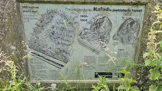 Bonc Yr Hafod Country Park Johnstown (Hafod Bank)