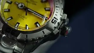 Sector No Limits | The Legend collection