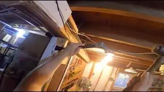 Video of the Day #11