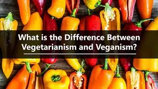 What is the difference between Vegetarianism and Veganism?