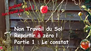 Sans Travail du Sol Repartir a z&eacute;ro ! 1ere Partie : Le constat