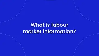 What is LMI?