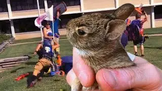 NERF WAR - King of The Hill - Bunnies in the Battlefield