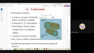 Human Anatomy and Physiology, Cell Part 2, C-02 By Ms. Parica Chopra