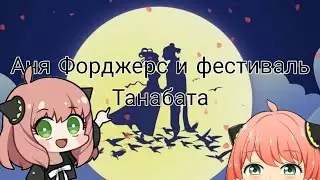 Обзор феста 