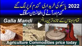 Passco wheat target l Why wheat prices are skyrocketing despite bumper stocks l Bashir Sandila