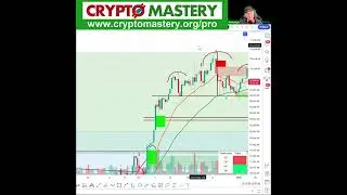 Did Bitcoin's Rise Trigger Your FOMO? 📈🤔