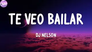 DJ Nelson - Te Veo Bailar (feat. Brray & Alejandro Armes) (Letras)