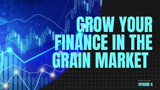 Grow your Finance in Grain Markets l Commodity Markets l Daily Commodity
