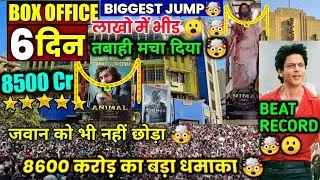Animal Day 5th Record🤯 Breaking Box Office Collection | Animal Collection | Animal