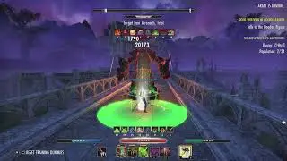 98k Trial Dummy Parse, Normal Gear