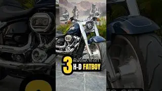 3 Reasons to get the H-D FATBOY #harleydavidson #shorts #shortsfeed #review #ytshorts #short #info