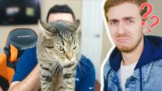 QU'EST-CE QUI POURRAIT MAL SE PASSER ?