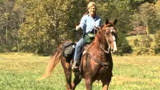Fall Trail Ride Sample.mpg