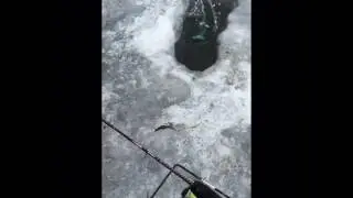The first time I used Baitcloud
