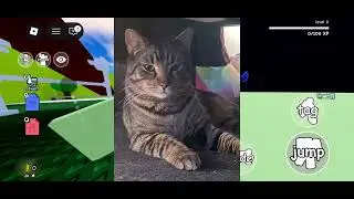 I couldn&rsquo;t make this a short because the YouTube frame is small I don&rsquo;t know why:(