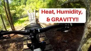 Santos MTB Trails - Vortex Trail and Jump lines in Ocala Florida