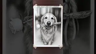 From Clip to Charcoal! 🌹 Hyper-Realistic Golden Retriever Giving You a Rose! #art #drawing