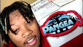 PANGEA CRESTED GECKO UNBOXING‼️‼️🤯🤯