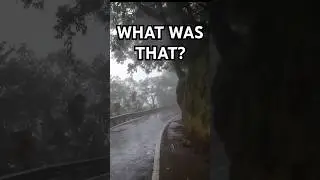 What is that noise? Scary encounter on a isolated road. #realhorrorexpirience