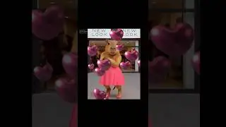 Capybara love story #capybara #lovestory #ai