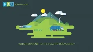 What happens to my recycled plastic?