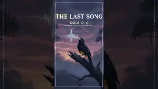 The Last Song of Kauaʻi ʻōʻō #kauaioo #Emotional #Ringtone #viral #shorts #trending