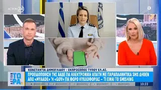 Αστυνομικό ρεπορτάζ: Το ταξίδι της Λόρας & η υπόθεση στη Νέο Πέραμο | ACTION 24
