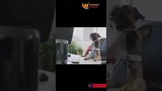 dog story Best Motivational Video for Success & Inspiration