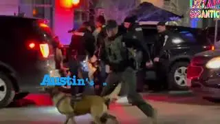 Man films APD jump out boys use AR15, guns, attack dog to subdue a Black man in  DT Austin short