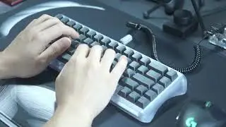 PC Dolphin Linger RE (Dolinger) Typing Sound Dolinger / INVYR HOLY PANDA(PC돌린거+홀판)