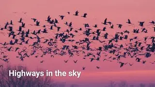 Fall migration in Michigan&rsquo;s Upper Peninsula