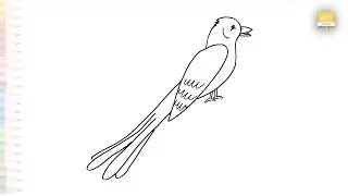 Oklahoma State bird drawing easy | Birds drawing tutorial | How to draw A Oklahoma State bird SIMPLY