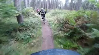 Greno woods