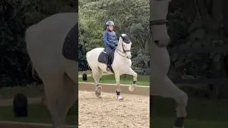 11 year old ridding top PRE horse 🐴 #dressage #youngrider #piaffe #passage #horse #spanishhorse