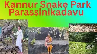 Kannur Snake Park Kerala #porcupine #snake #snakepark #kannur #kerala #travel #animals #wildlife 