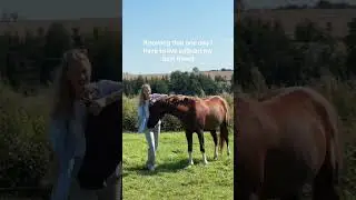 Realest 😭 #horse #horses #horsriding #riding #equestrain #love #friends #friendship #pferne #hest