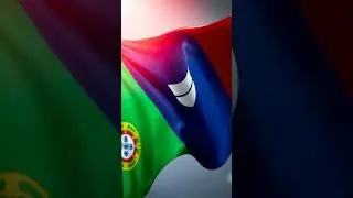 Montana vs Portugal Visual Data Duel