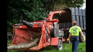 Seaford Tree Service -Morbark 1922 Brush Chipper
