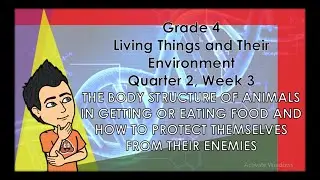 BODY STRUCTURE OF ANIMALS IN GETTING OR EATING FOOD AND HOW TO PROTECT THEMSELVES FROM THEIR ENEMIES