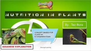 NUTRITION IN ORGANISM || CLASS VII NCERT || By Tez Sir #ncert #educrypt