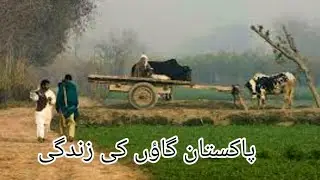 village simple life|village food on zero line|we are going to last village of Pakistan for lunch|