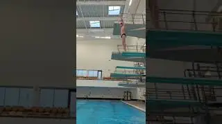 forward dive pike on 3 meter #shorts