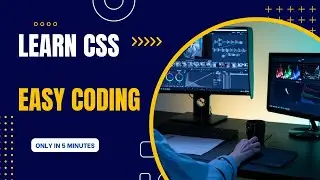 CSS style sheet for beginers