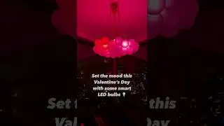 Set the Mood this Valentine&rsquo;s Day!