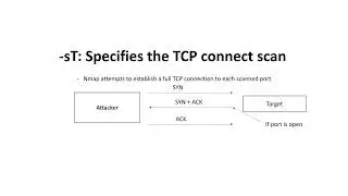 Day 01/100 - Network Scanning Basics: Understanding TCP -sT with Nmap