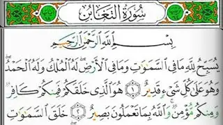 سورة التغابن بصوت القارئ الشيخ عبد الولي الأركاني(صوت رائع ومؤثر جدا)