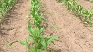 Troesser's Travels- Sand Plot