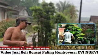 28Juta!!!!! Jual Beli BONSAI Paling Kontroversi di Channel EVI NURVI Sambil Pruning Mejawab Komentar