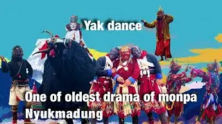 Yak dance ( yak Cham ) Nyukmadung village Dirang / 2024 .. Corsair K70 RGB MK.2: